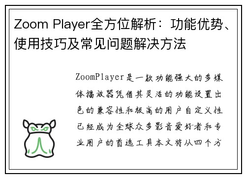 Zoom Player全方位解析：功能优势、使用技巧及常见问题解决方法