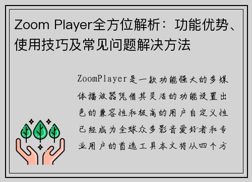 Zoom Player全方位解析:功能优势、使用技巧及常见问题解决方法 Zoom Player全方位解析:功能优势、使用技巧及常见问题解决方法
